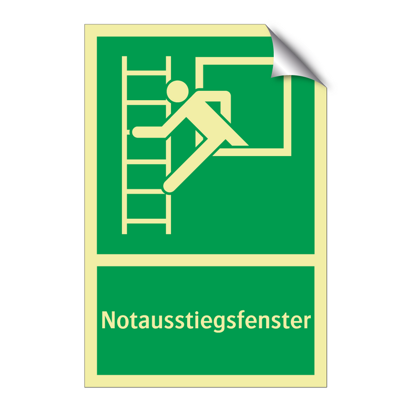 Notausstiegsfenster