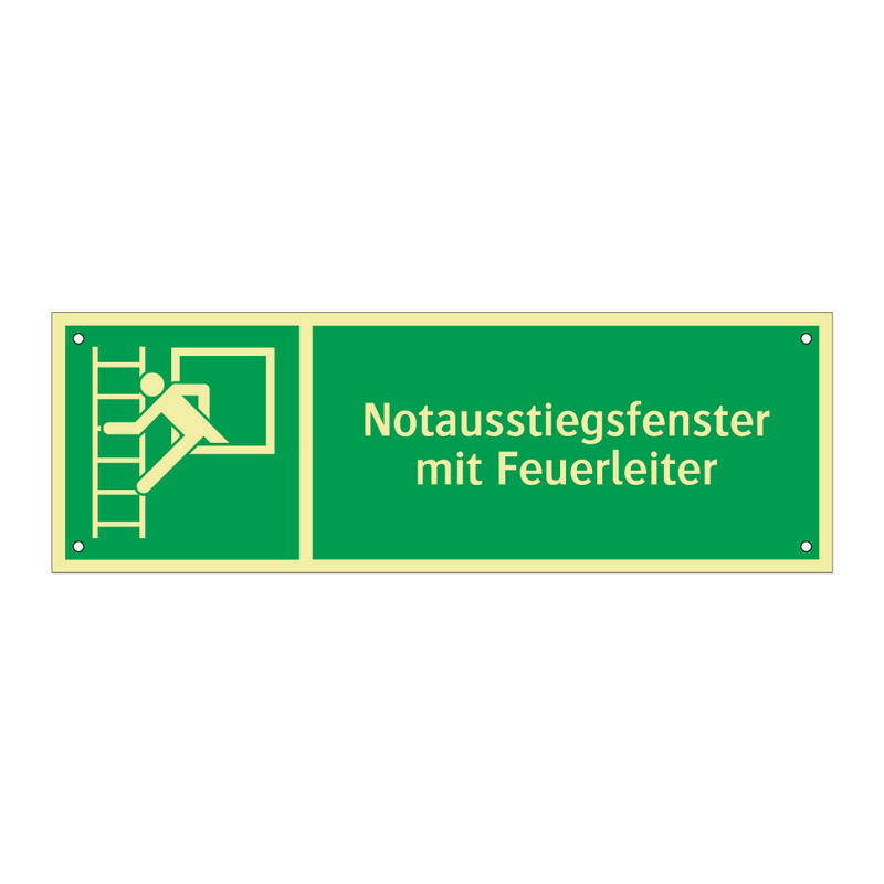 Notausstiegsfenster mit Feuerleiter