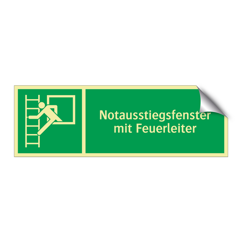 Notausstiegsfenster mit Feuerleiter