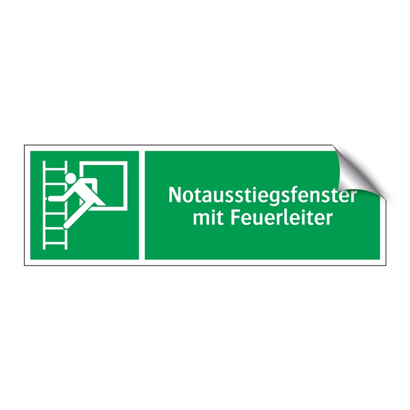 Notausstiegsfenster mit Feuerleiter