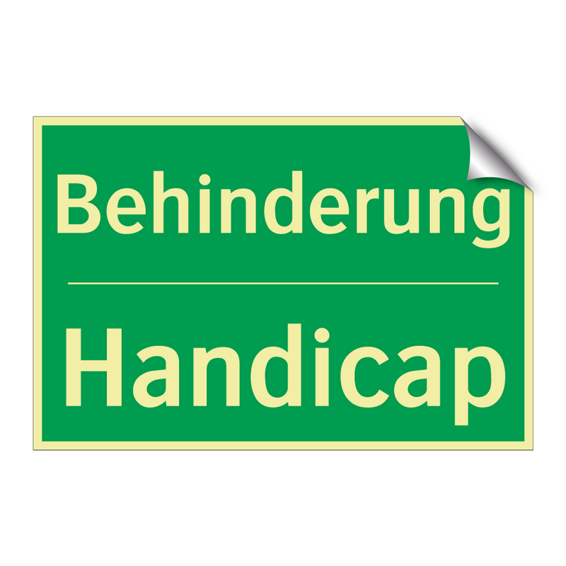 Behinderung - Handicap