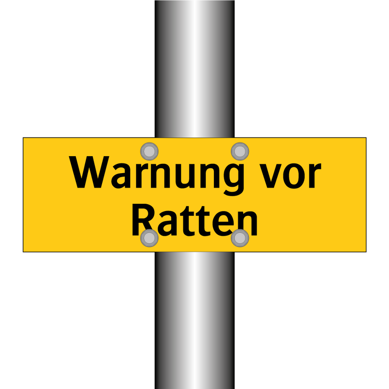 Warnung vor Ratten