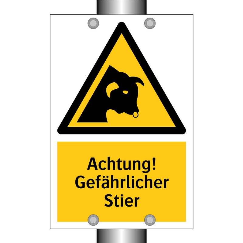 Achtung! Gefährlicher Stier