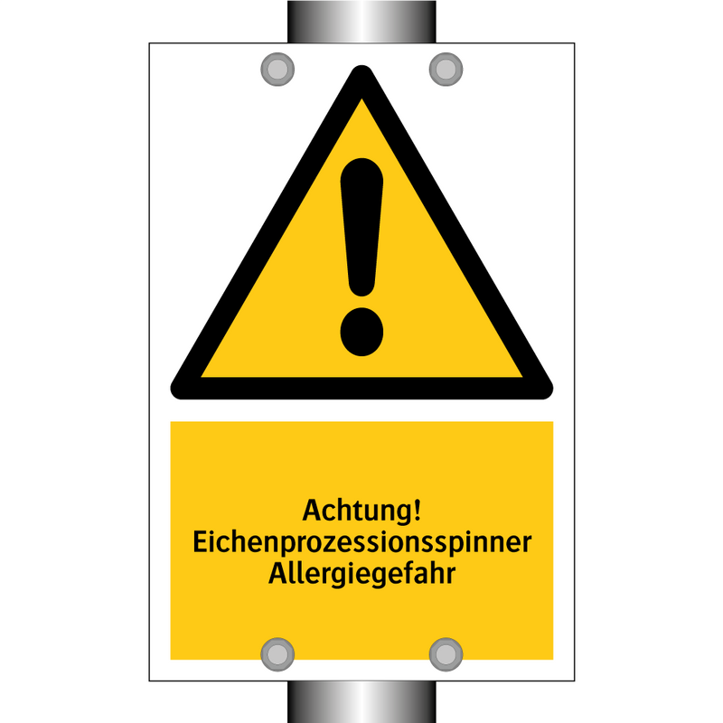 Achtung! Eichenprozessionsspinner Allergiegefahr