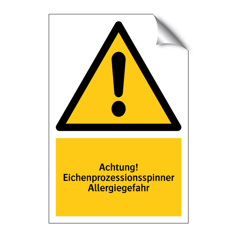 Achtung! Eichenprozessionsspinner Allergiegefahr