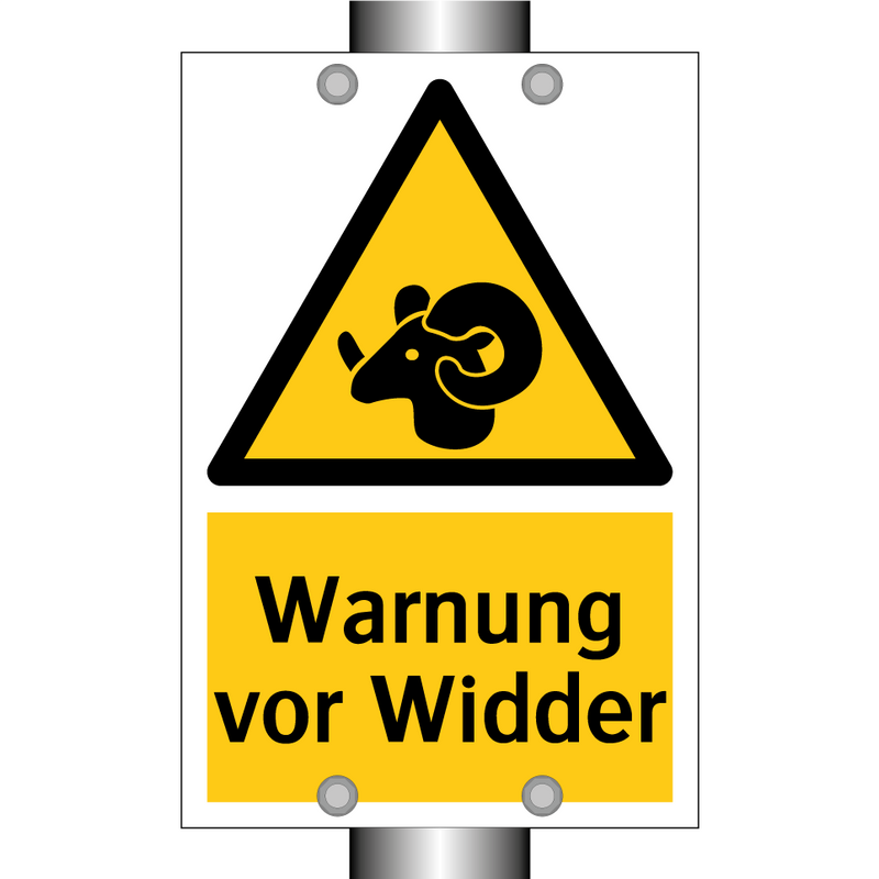 Warnung vor Widder