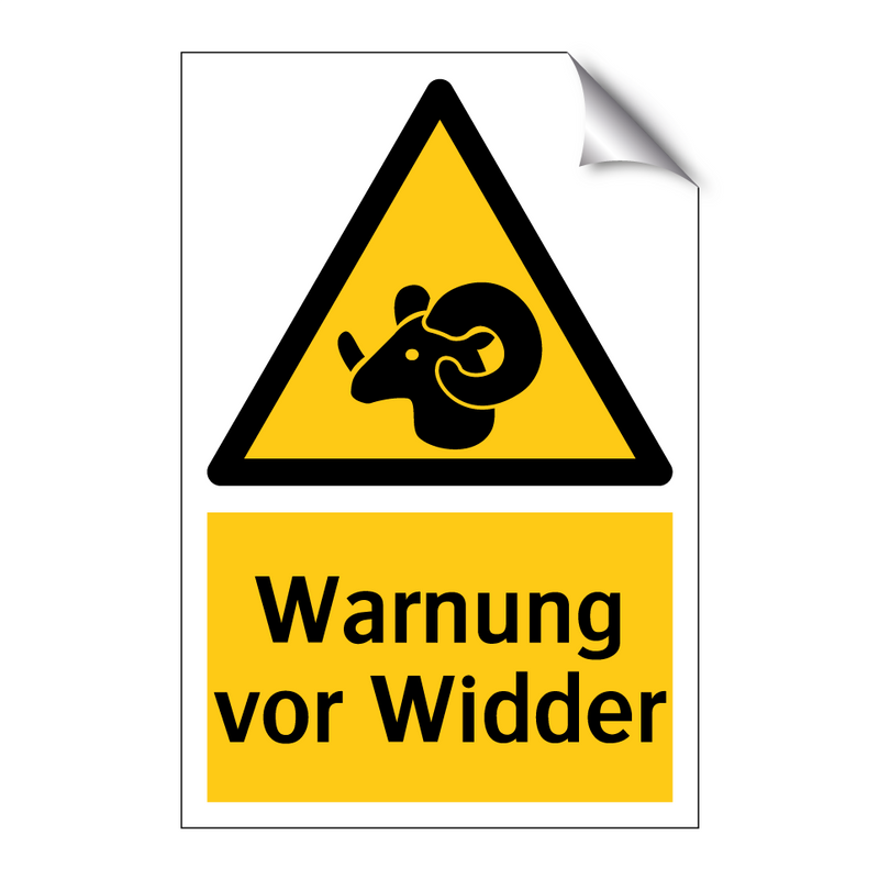 Warnung vor Widder