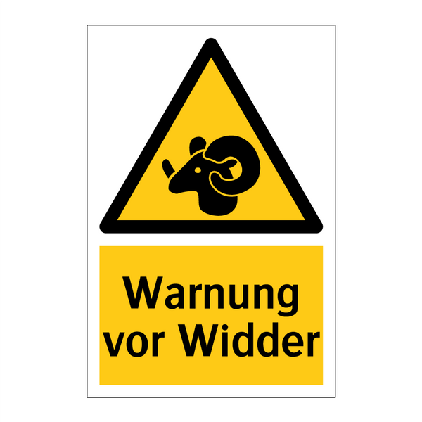 Warnung vor Widder