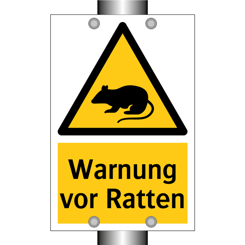 Warnung vor Ratten