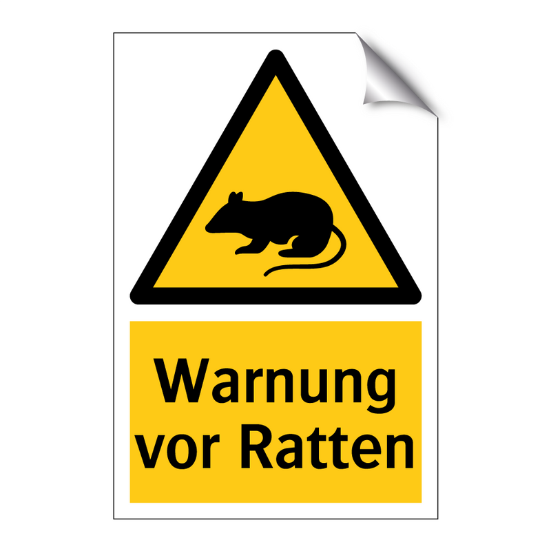 Warnung vor Ratten