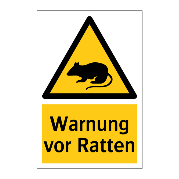 Warnung vor Ratten