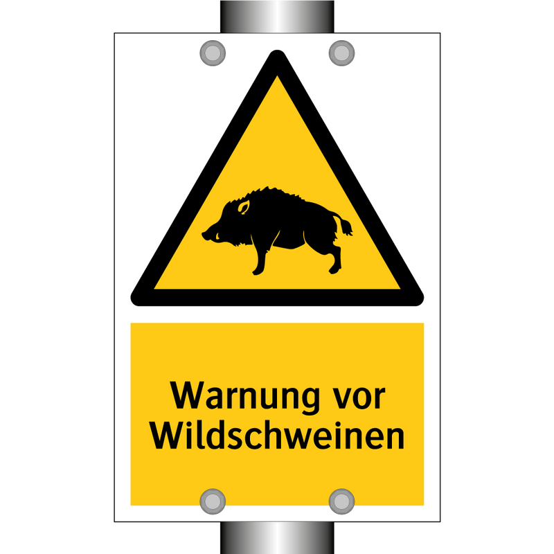 Warnung vor Wildschweinen