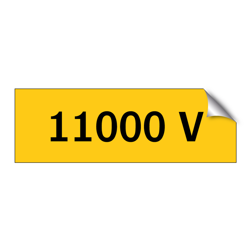 11000 V