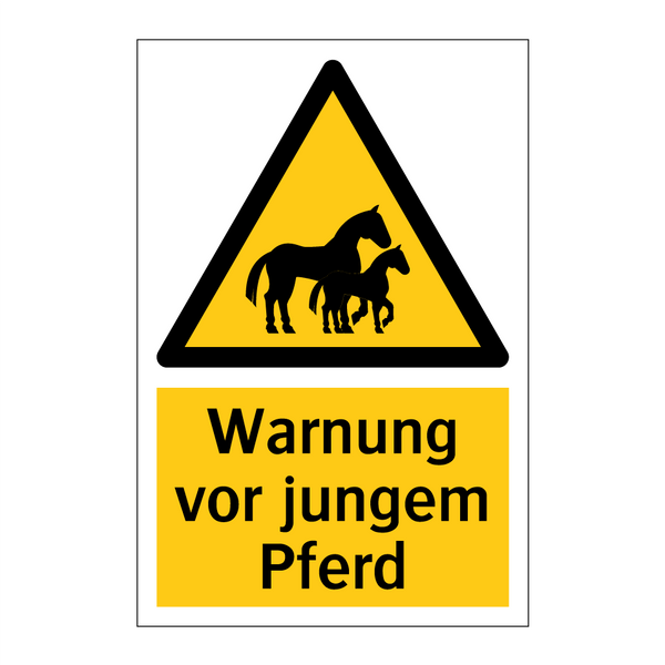 Warnung vor jungem Pferd