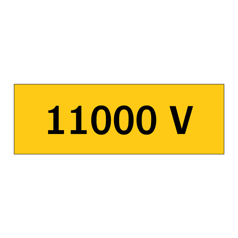 11000 V