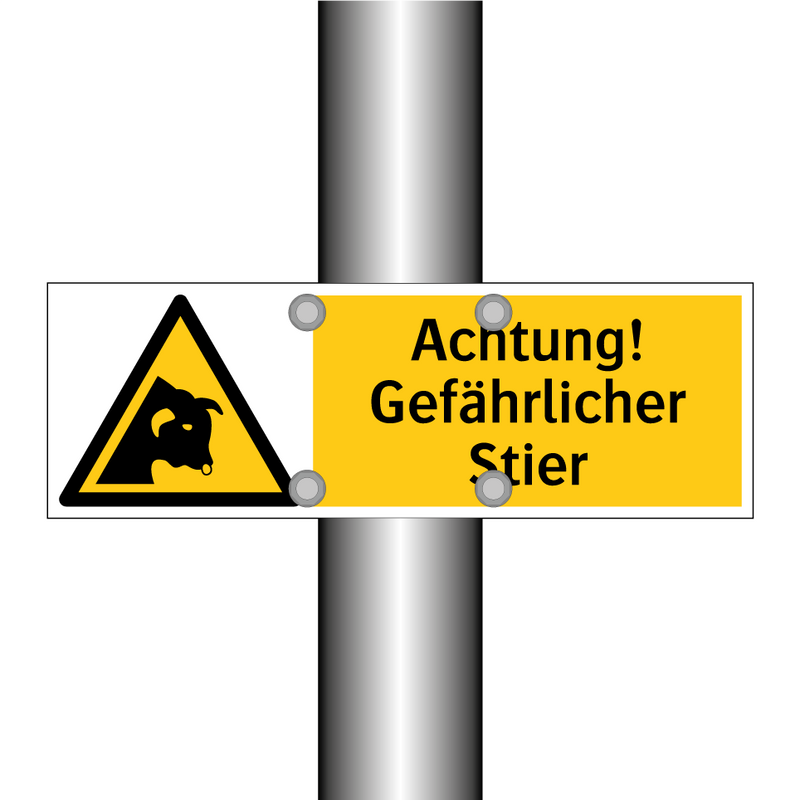 Achtung! Gefährlicher Stier