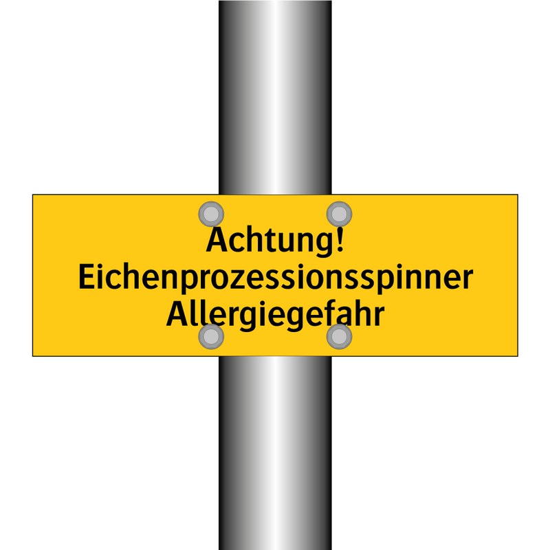 Achtung! Eichenprozessionsspinner Allergiegefahr