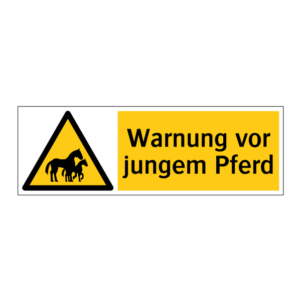 Warnung vor jungem Pferd